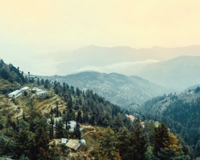 Untitled design (11)