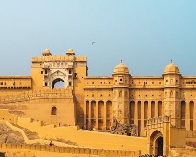 Untitled design (5)